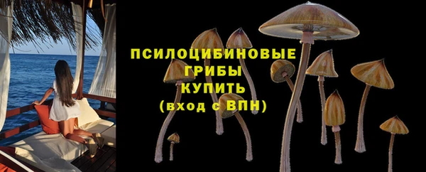 гашик Аркадак