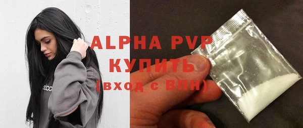 прущие грибы Ельня