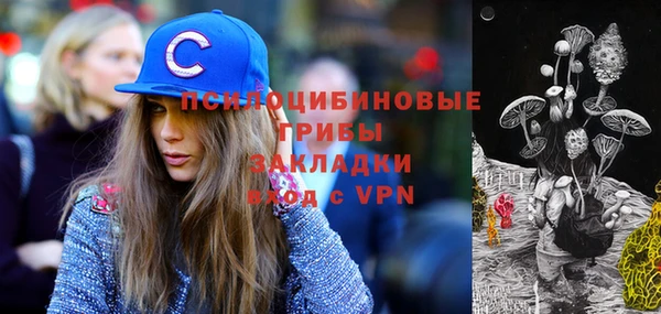 гашик Аркадак