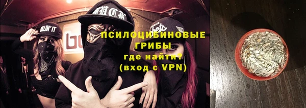 гашик Аркадак