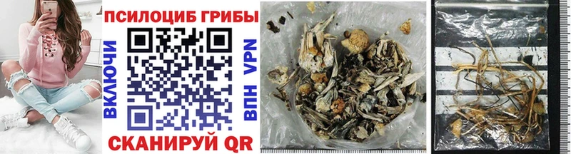 Псилоцибиновые грибы Magic Shrooms  наркота  Саяногорск 